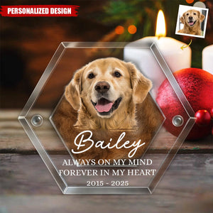 Custom Photo Pet Fur Keepsake-Gifts For Dogs, Cats-Always In My Heart