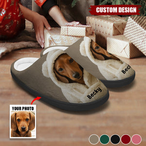 Dog In Winter Hoodie - Personalized Dog Slippers