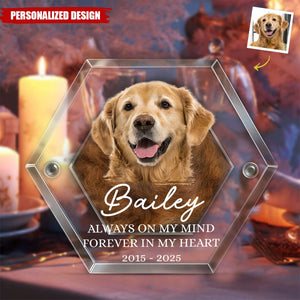 Custom Photo Pet Fur Keepsake-Gifts For Dogs, Cats-Always In My Heart