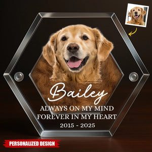 Custom Photo Pet Fur Keepsake-Gifts For Dogs, Cats-Always In My Heart