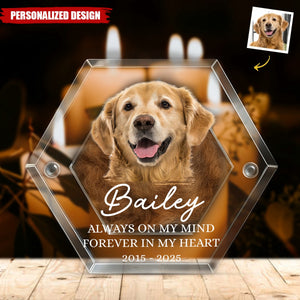 Custom Photo Pet Fur Keepsake-Gifts For Dogs, Cats-Always In My Heart