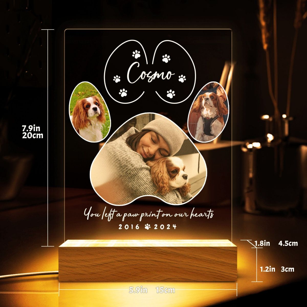 You Left A Paw Print On Our Hearts - Pet Memorial Personalized Night Light