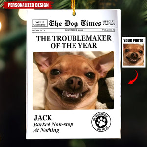 The Dog Times, The Meow Times-Troublemaker Of The Year-Personalized Acrylic Photo Ornament