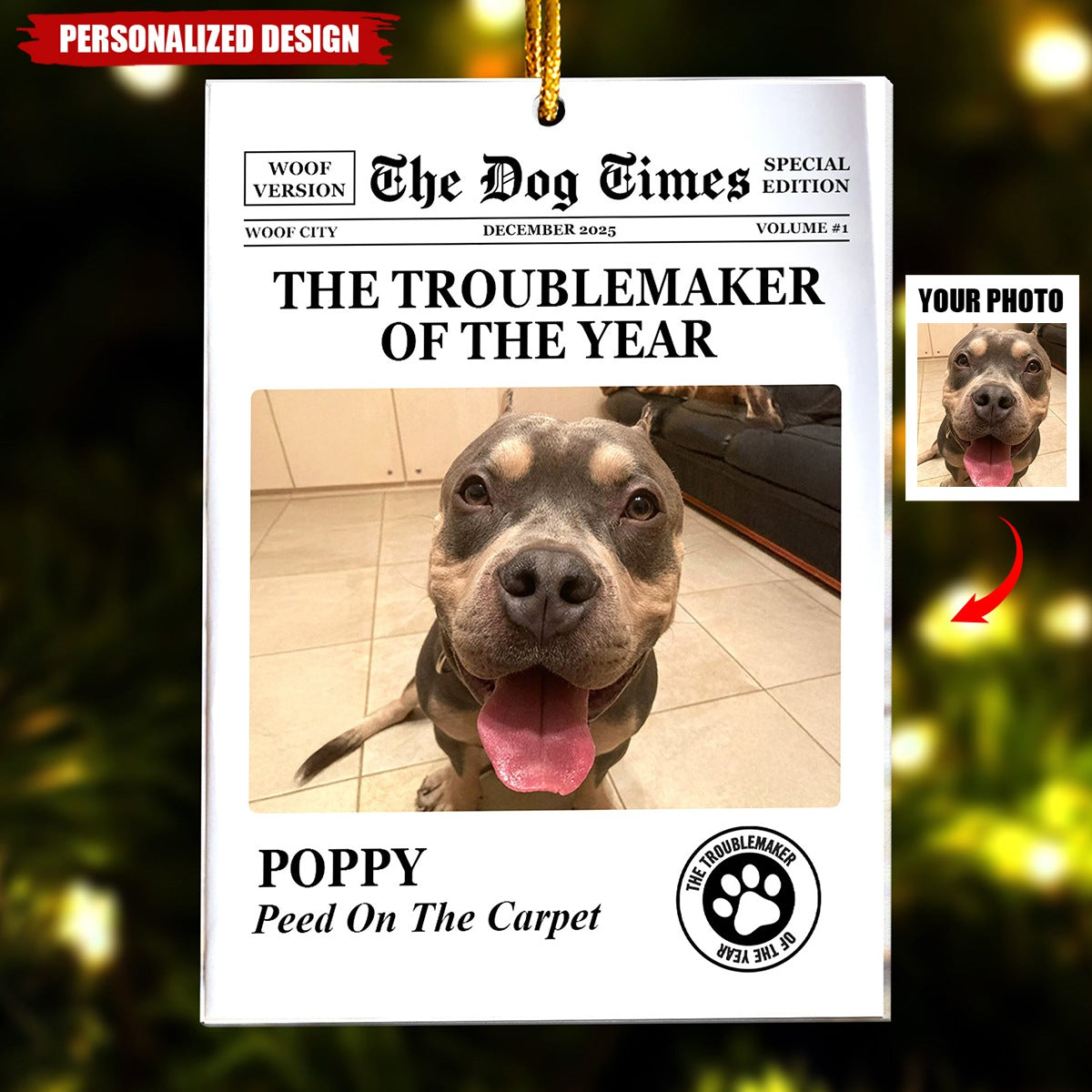 The Dog Times, The Meow Times-Troublemaker Of The Year-Personalized Acrylic Photo Ornament