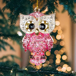 Owl Christmas Ornament 2025 - Owl Ornament for Christmas Tree Decorations Acrylic Ornaments for Kids Adults
