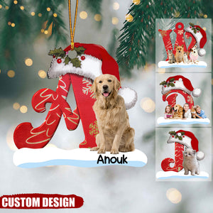 Monogram Alphabet With Pet Name & Photo Personalized Acrylic Christmas Ornament
