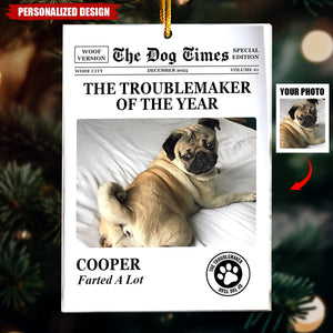 The Dog Times, The Meow Times-Troublemaker Of The Year-Personalized Acrylic Photo Ornament