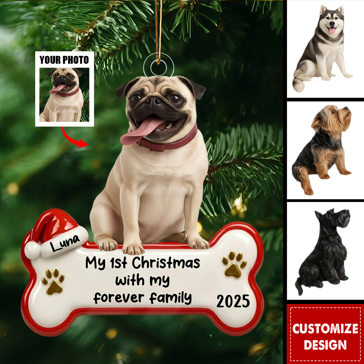 My 1st Christmas With Forever Family - Personalized Acrylic Ornament - Gifts For Dog Lovers