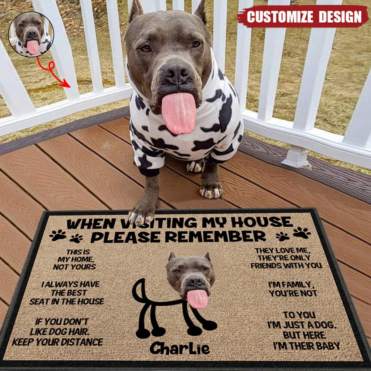 Custom Photo When You Visit My House Pet - Personalized Doormat
