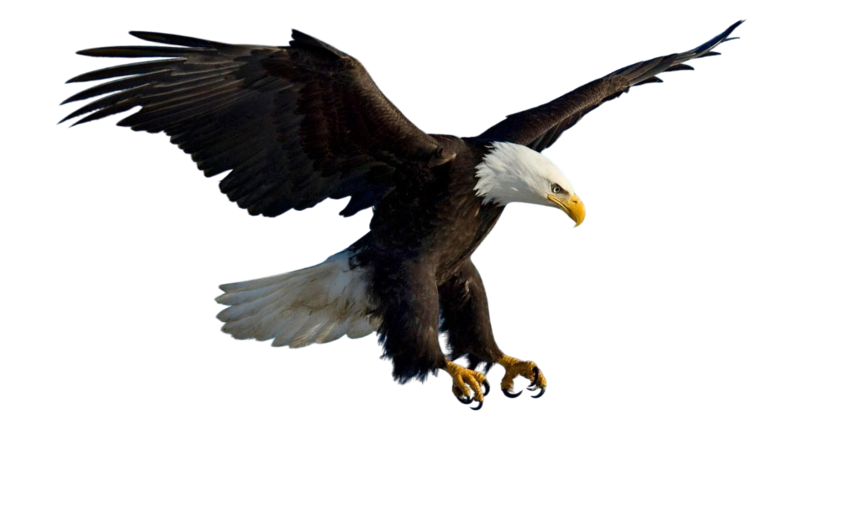 Eagle Keychain-Perfect Gift for Eagle Lover