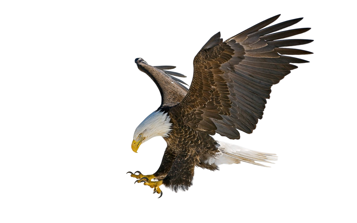 Eagle Keychain-Perfect Gift for Eagle Lover