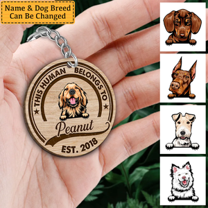 This Human Belongs To Peeking Dogs Personalized Wooden Keychain